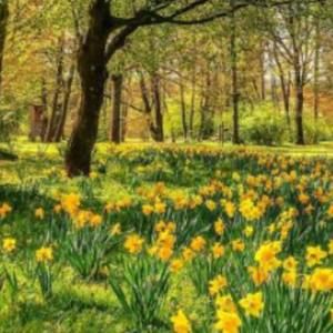 Meet your Posher, Sheila